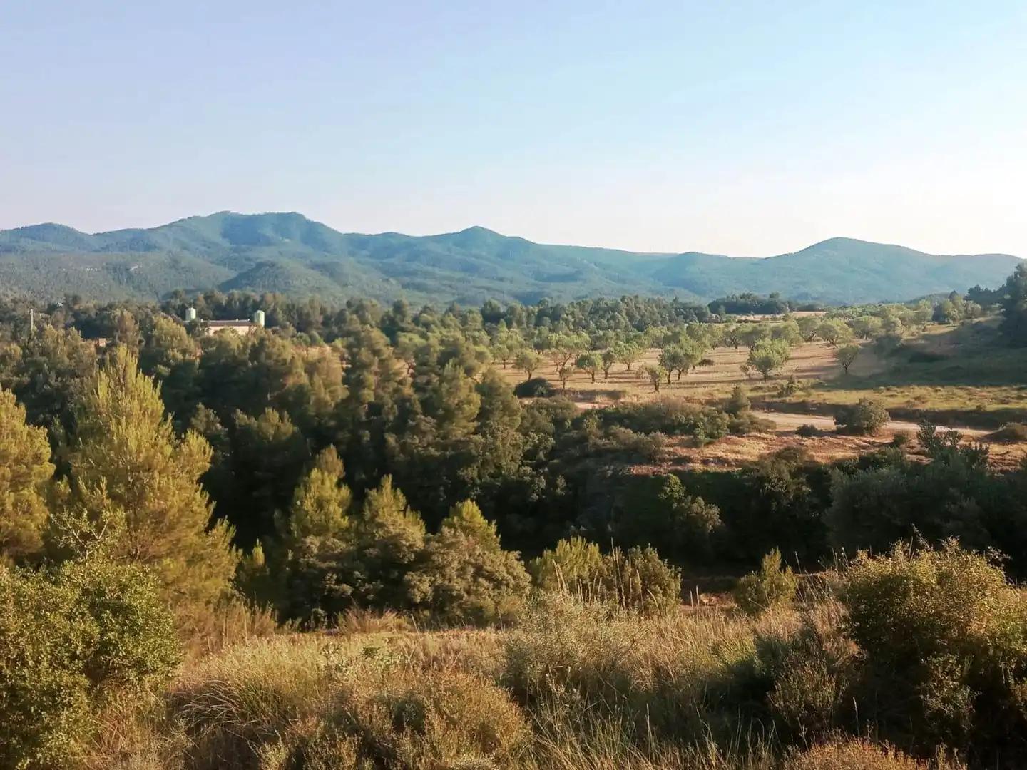 Finca en Venta en Monroyo
