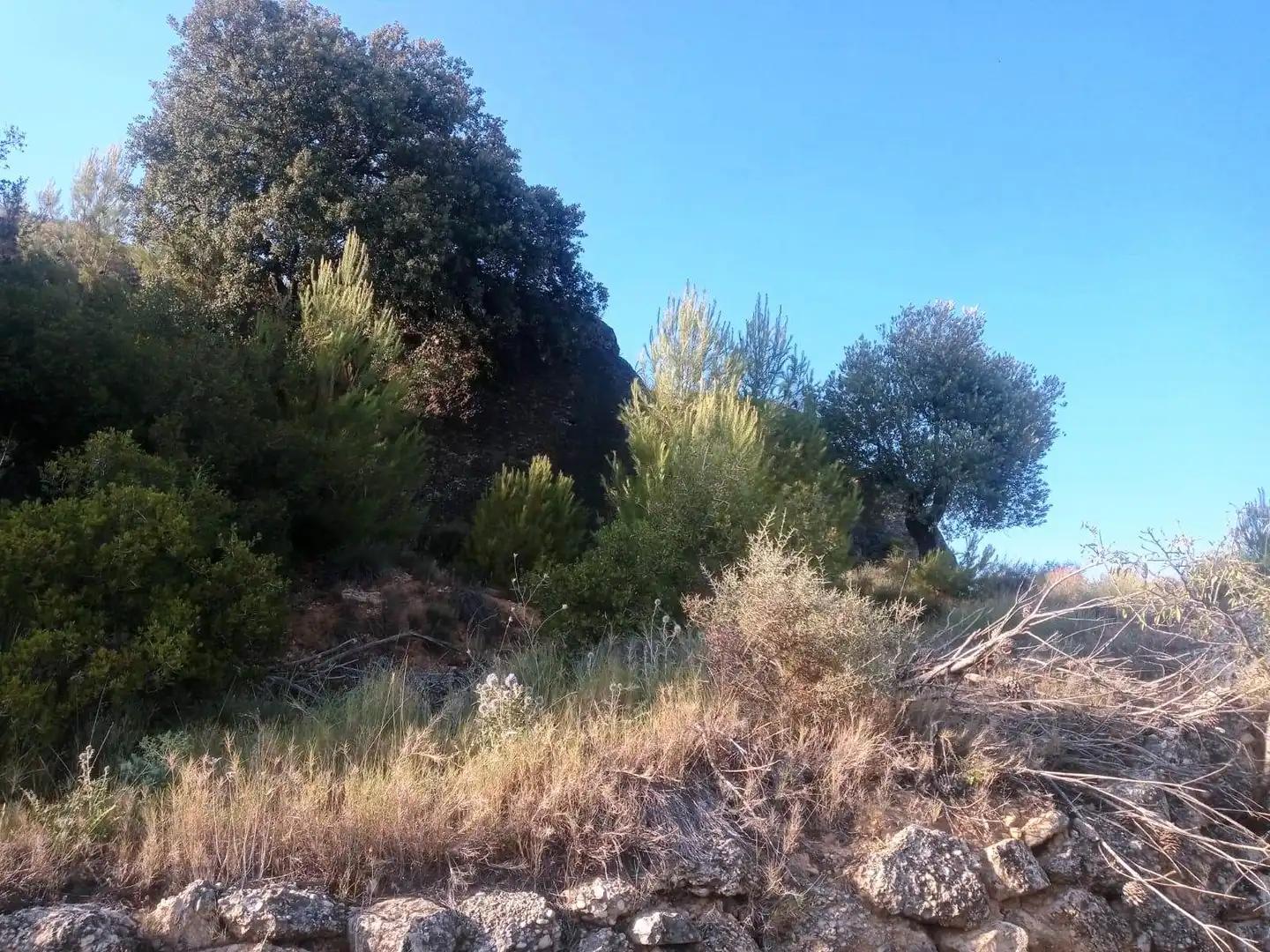 Finca en Venta en Monroyo