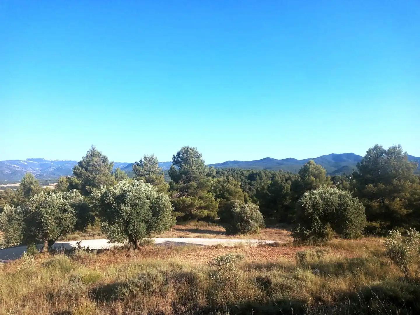 Finca en Venta en Monroyo