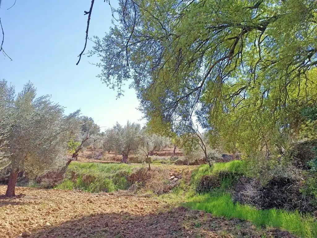 Finca en Venta en Cretas