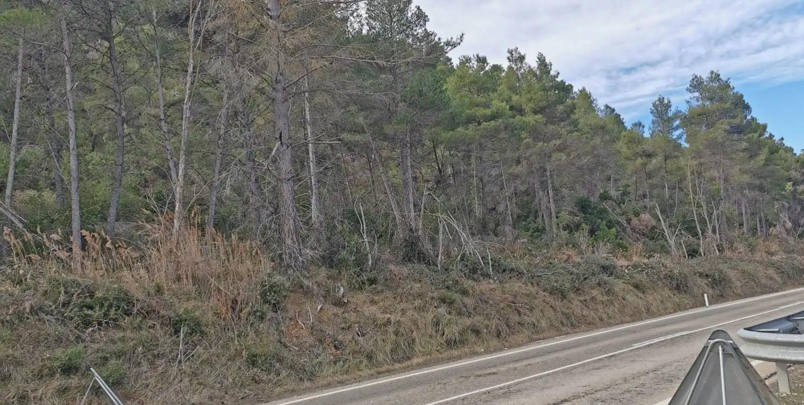 Finca en Venta en Valderrobres
