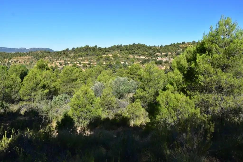 Finca en Venta en Valderrobres