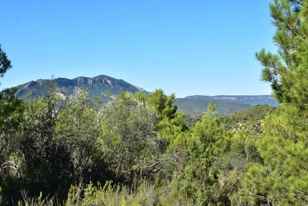 Finca en Venta en Valderrobres
