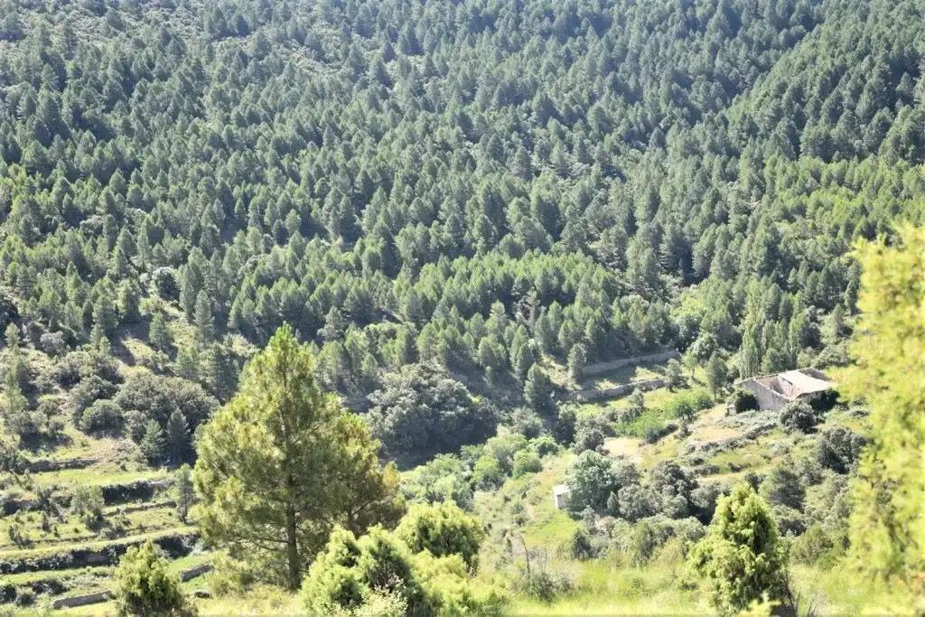 Finca en Venta en Peñarroya de Tastavins