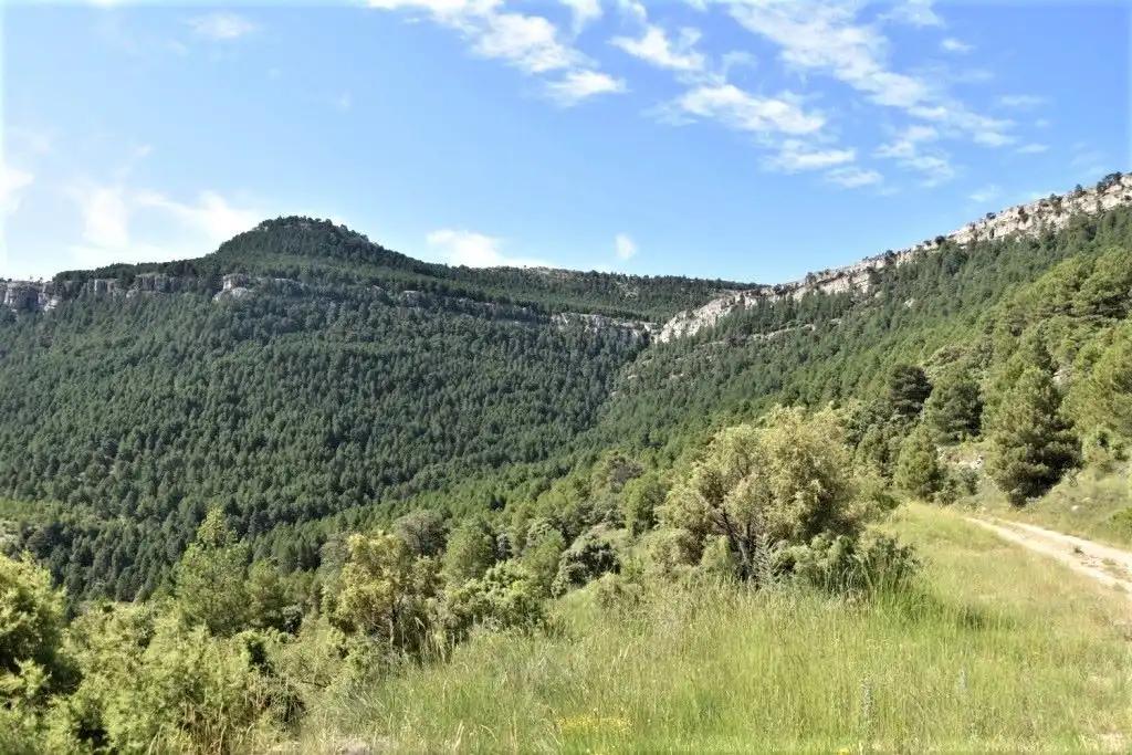 Finca en Venta en Peñarroya de Tastavins