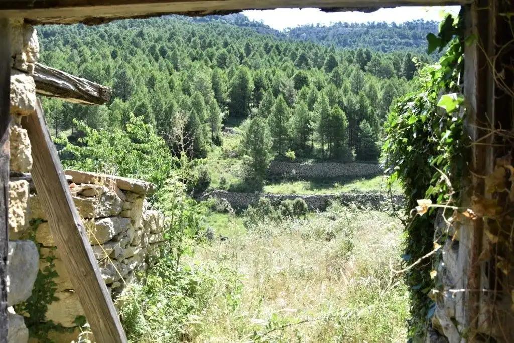 Finca en Venta en Peñarroya de Tastavins