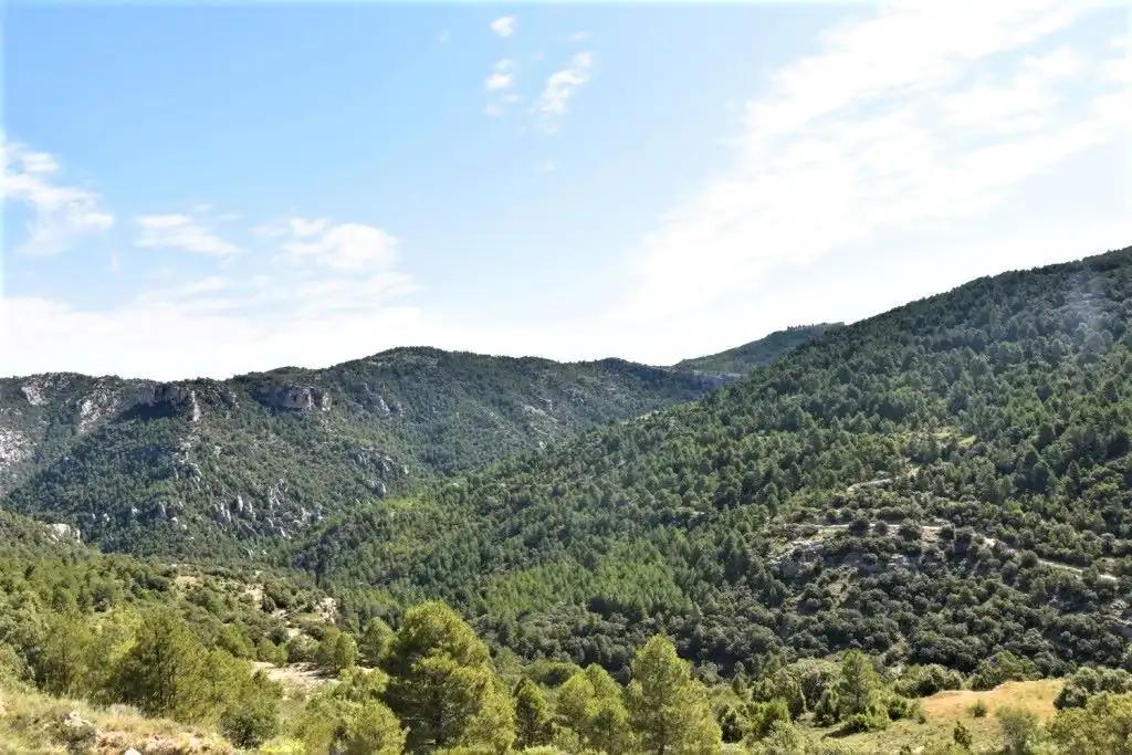 Finca en Venta en Peñarroya de Tastavins