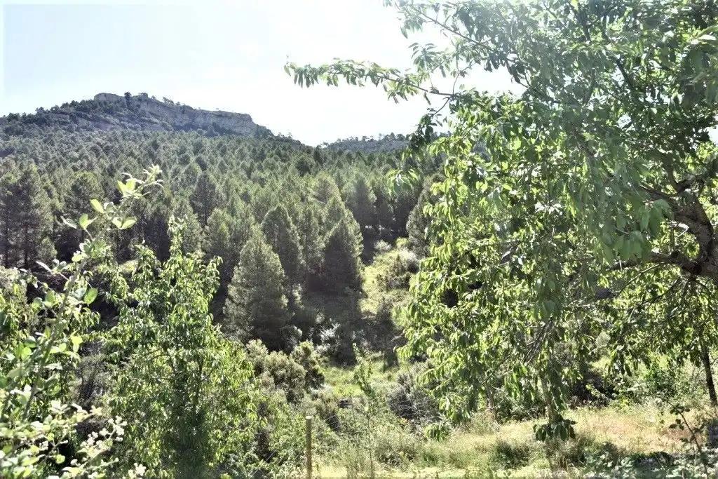Finca en Venta en Peñarroya de Tastavins