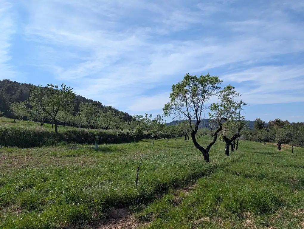 Finca en Venta en Fuentespalda