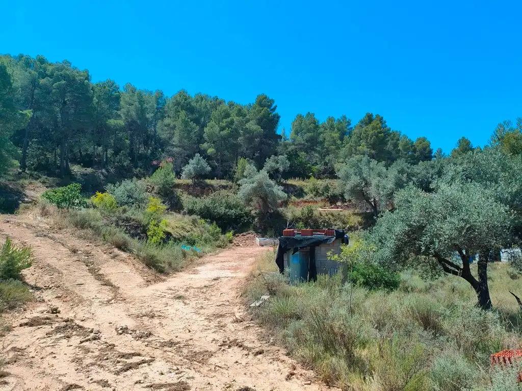 Finca en Venta en Calaceite