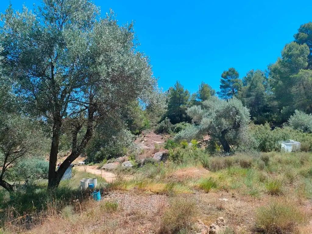 Finca en Venta en Calaceite