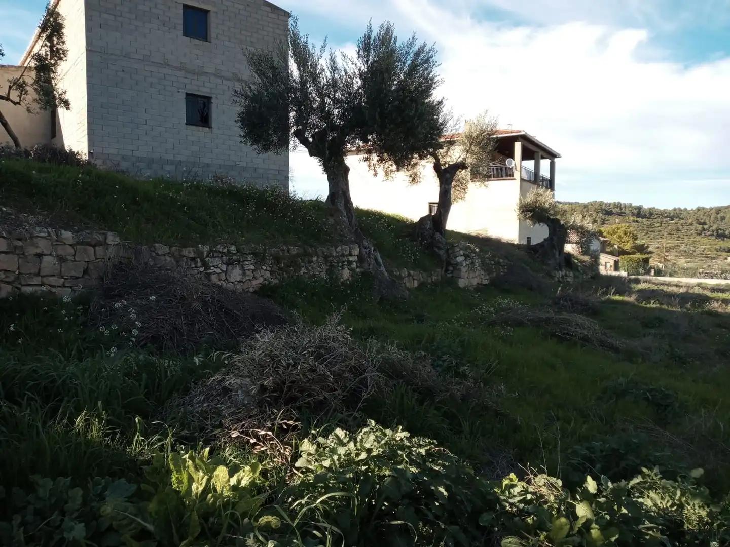Plot for Sale in Lledó