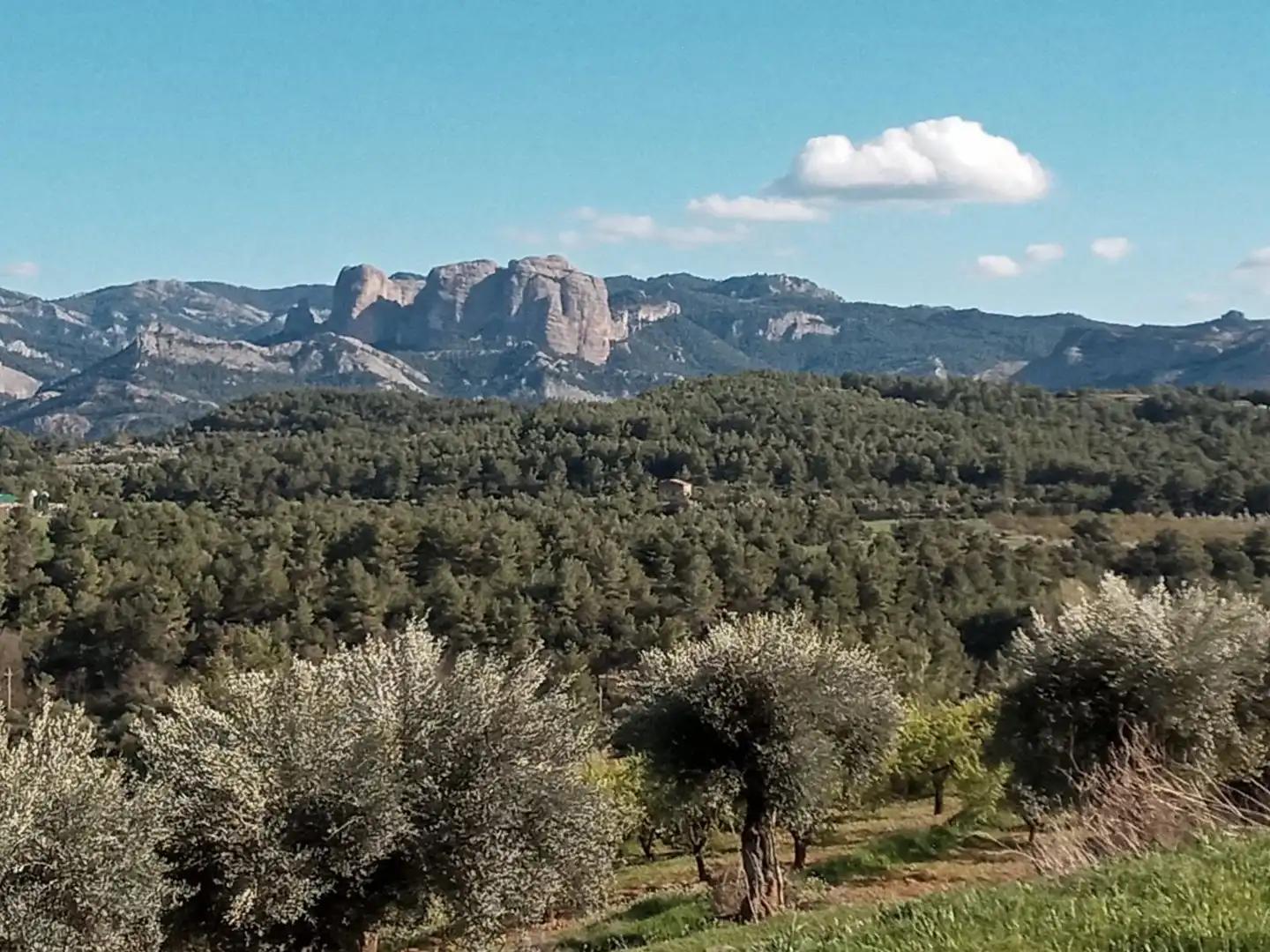 Plot for Sale in Lledó