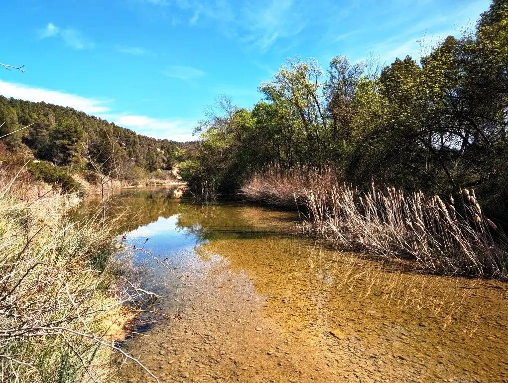 Finca en Venta en Arens de Lledó