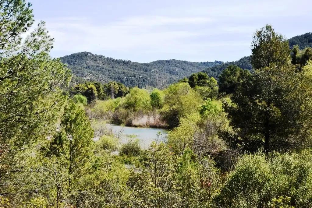 Finca en Venta en Arens de Lledó