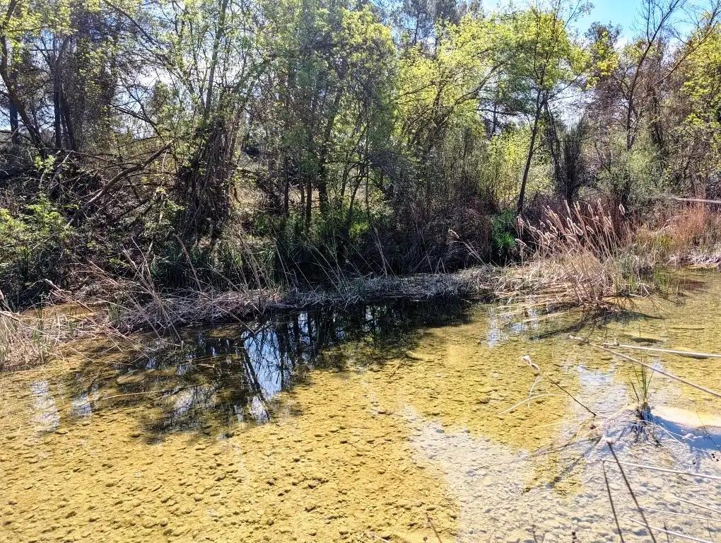 Finca en Venta en Arens de Lledó