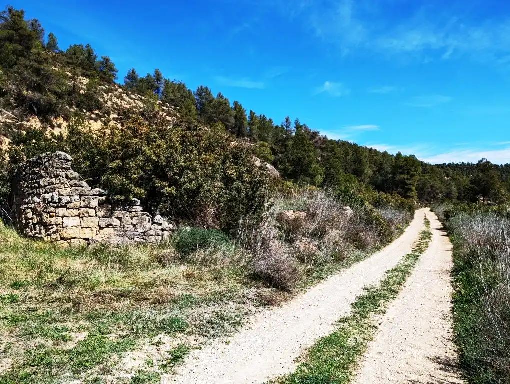 Finca en Venta en Arens de Lledó