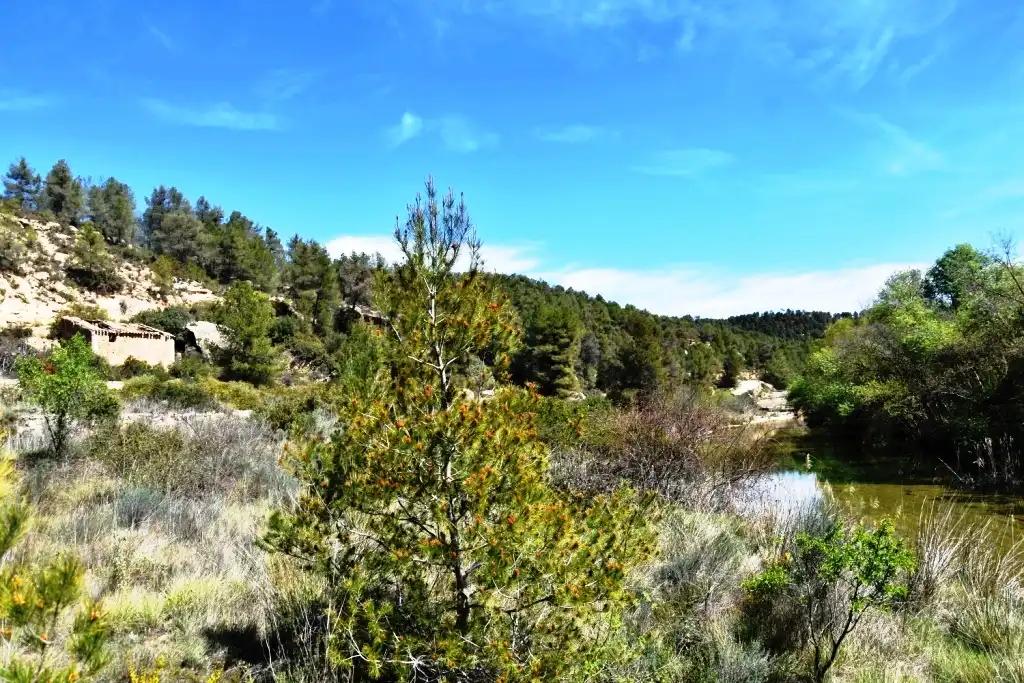 Finca en Venta en Arens de Lledó