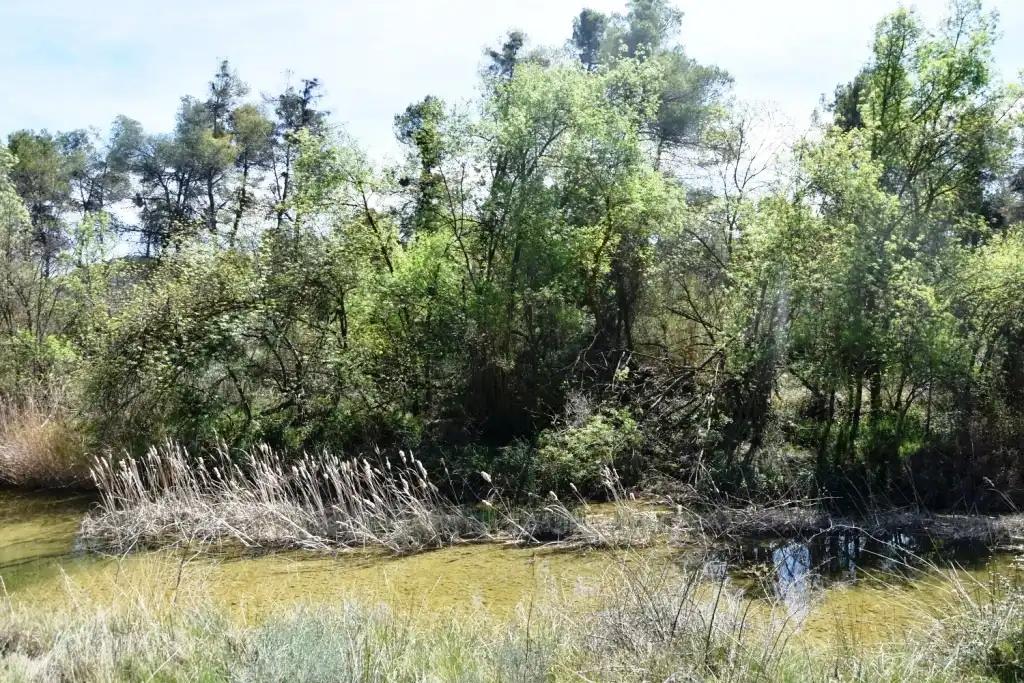 Finca en Venta en Arens de Lledó