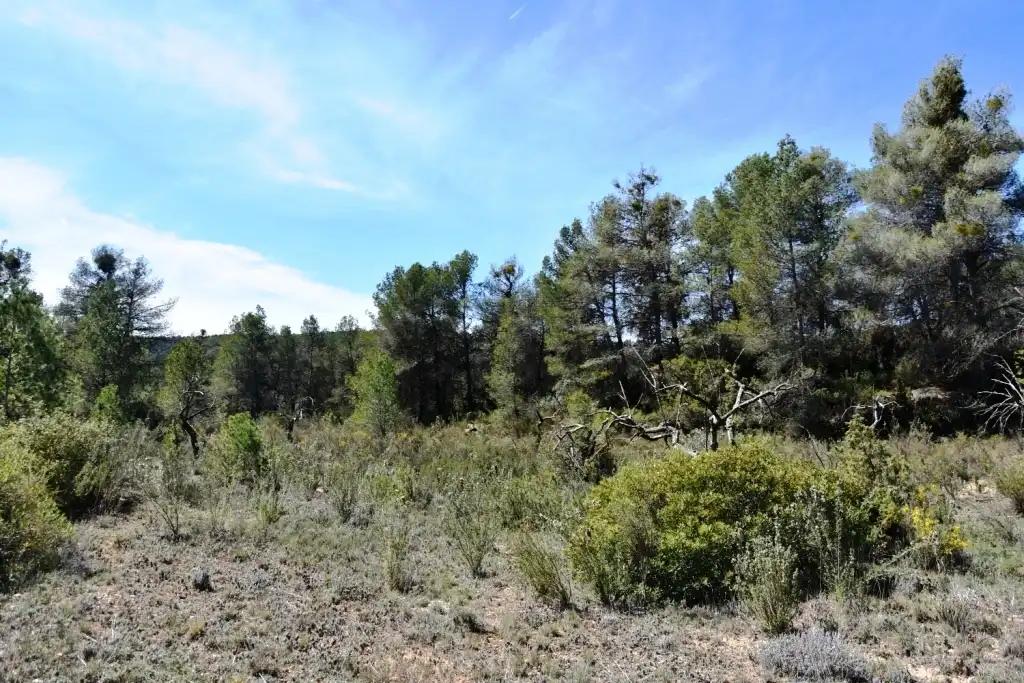 Finca en Venta en Arens de Lledó