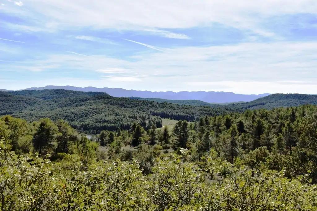 Finca en Venta en Arens de Lledó