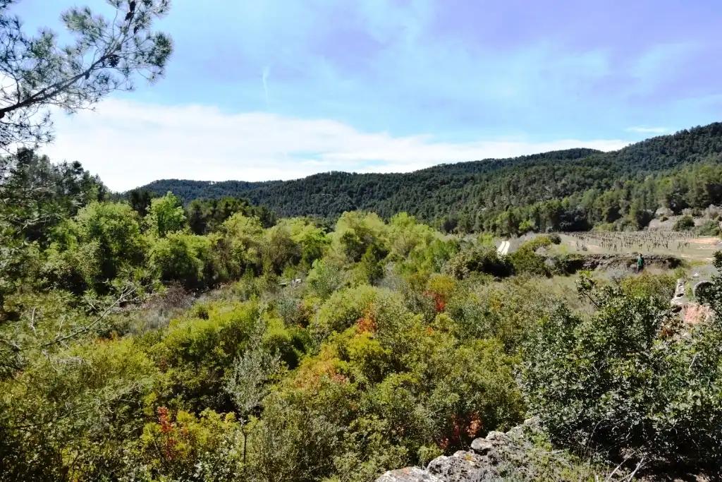 Finca en Venta en Arens de Lledó