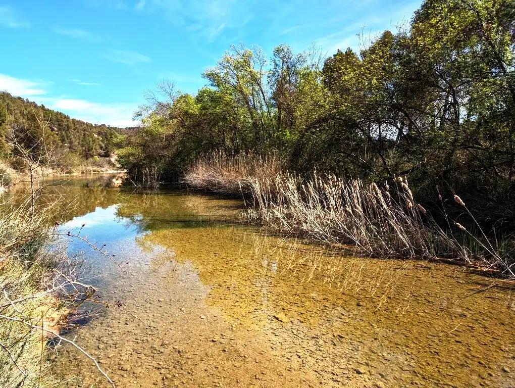 Finca en Venta en Arens de Lledó