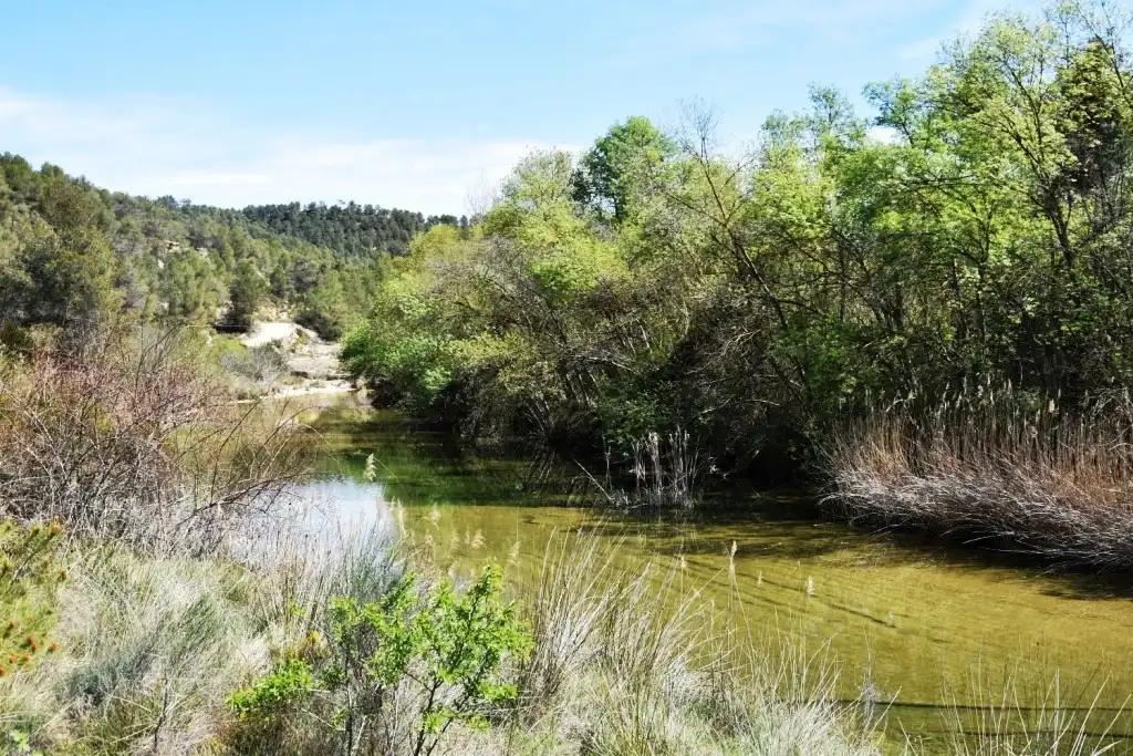Finca en Venta en Arens de Lledó