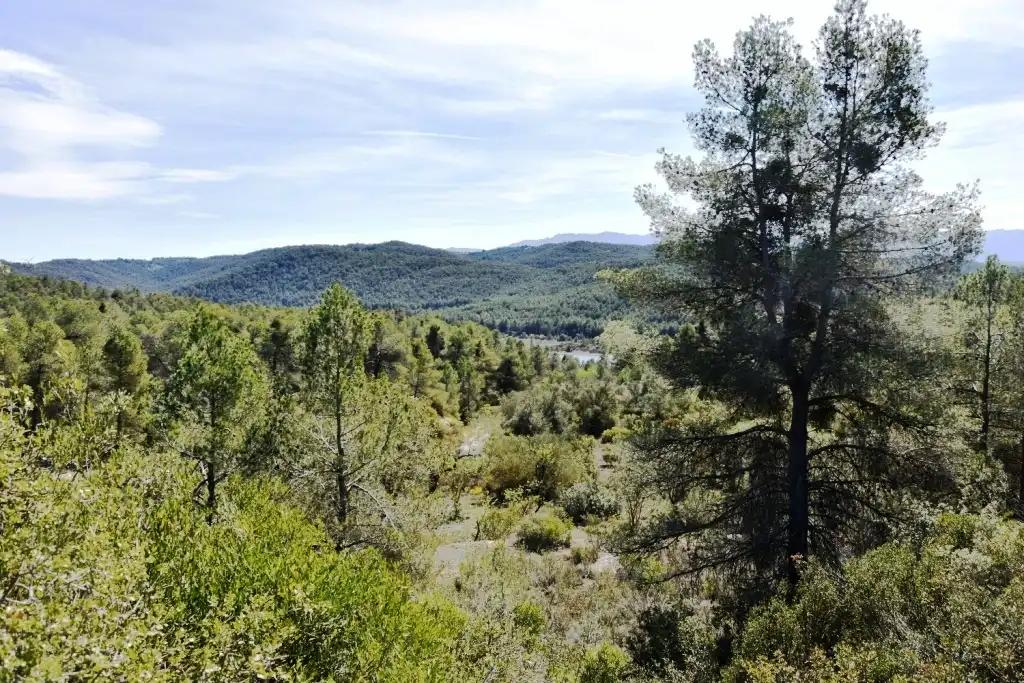 Finca en Venta en Arens de Lledó