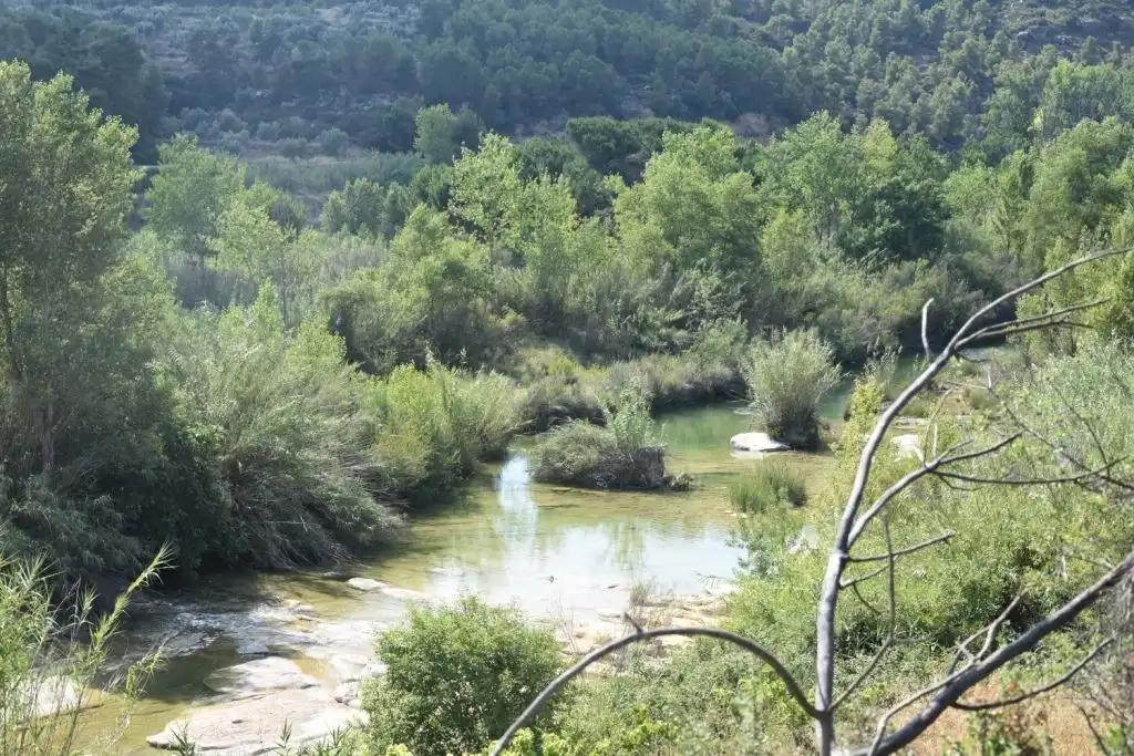 Finca en Venta en Mazaleón