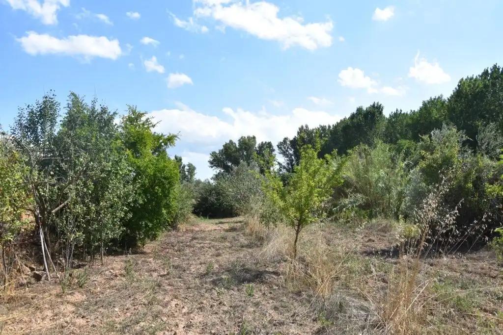 Finca en Venta en Mazaleón