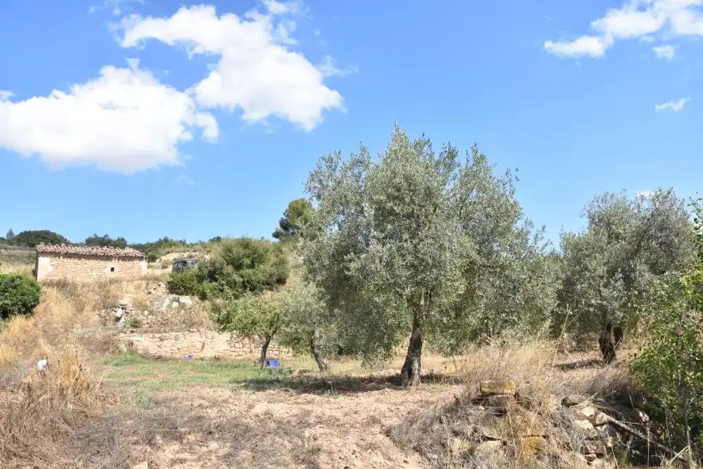 Finca en Venta en Mazaleón