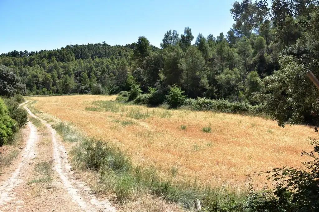 Finca en Venta en Valderrobres