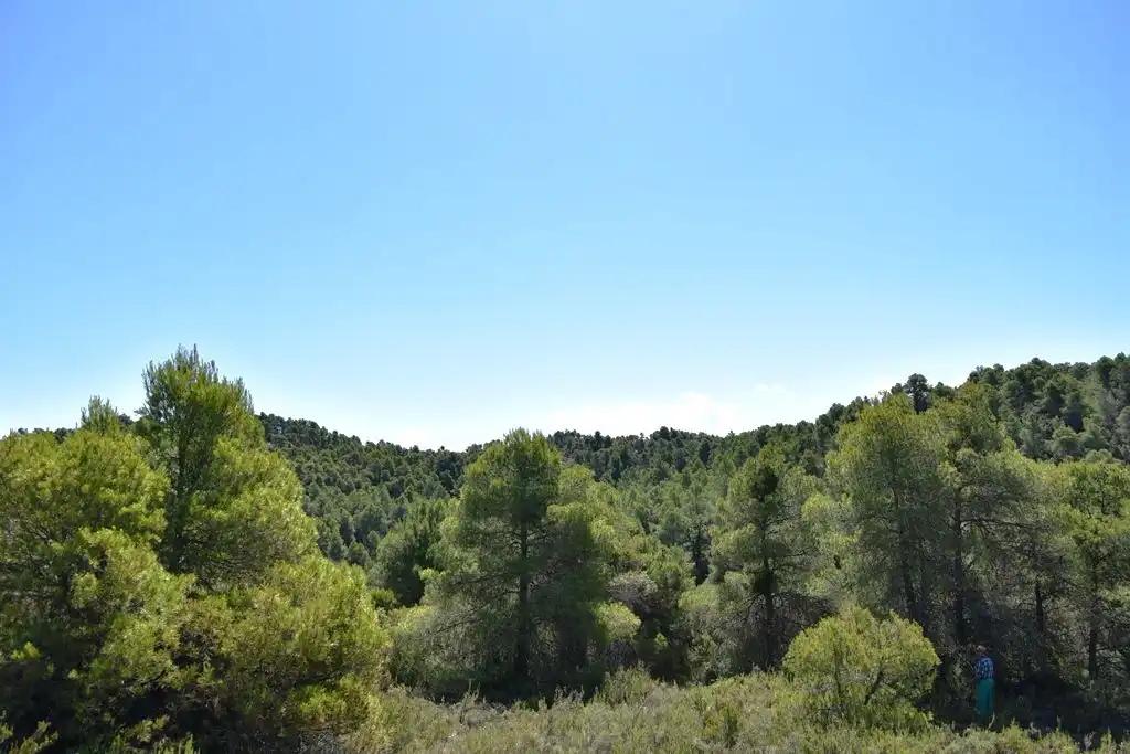 Finca en Venta en Valderrobres