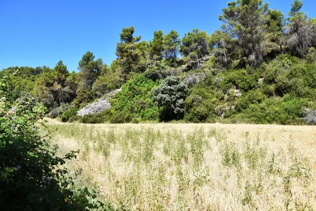 Finca en Venta en Valderrobres