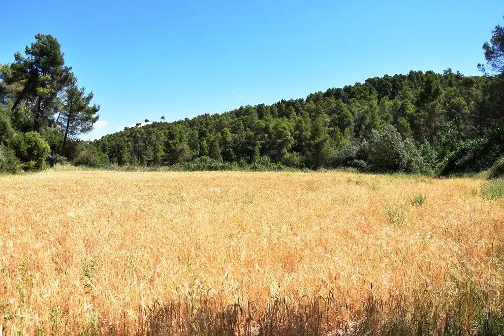 Finca en Venta en Valderrobres