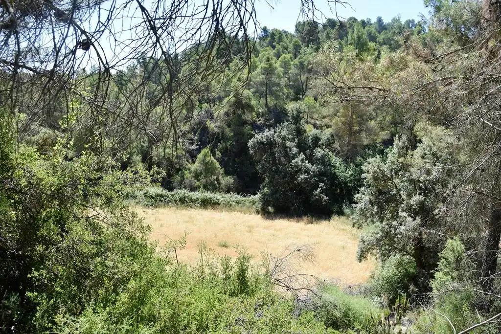 Finca en Venta en Valderrobres