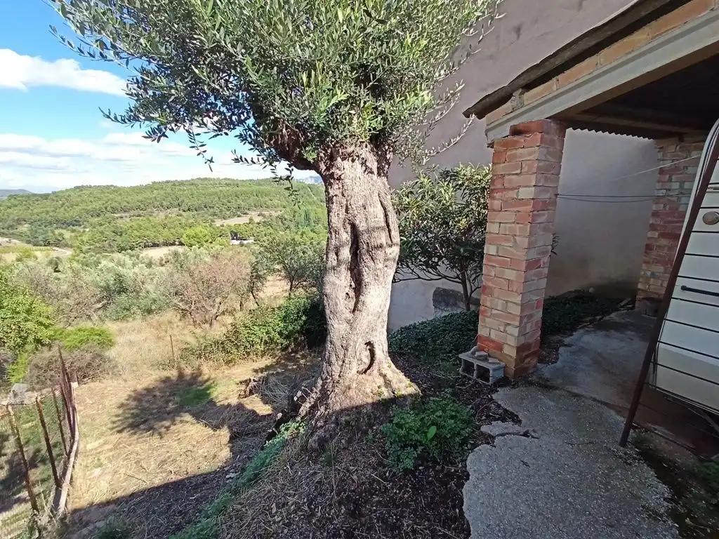 Plot for Sale in Lledó