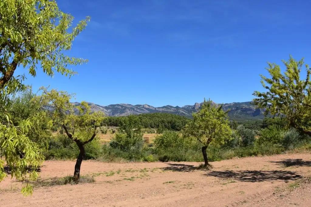 Casa en Venta en Lledó