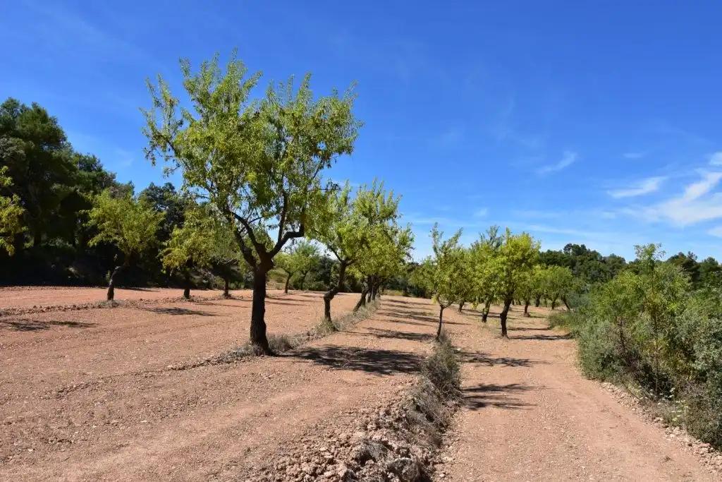 Casa en Venta en Lledó
