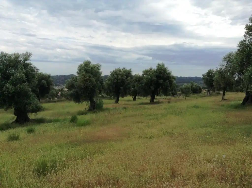 Finca en Venta en Horta de Sant Joan