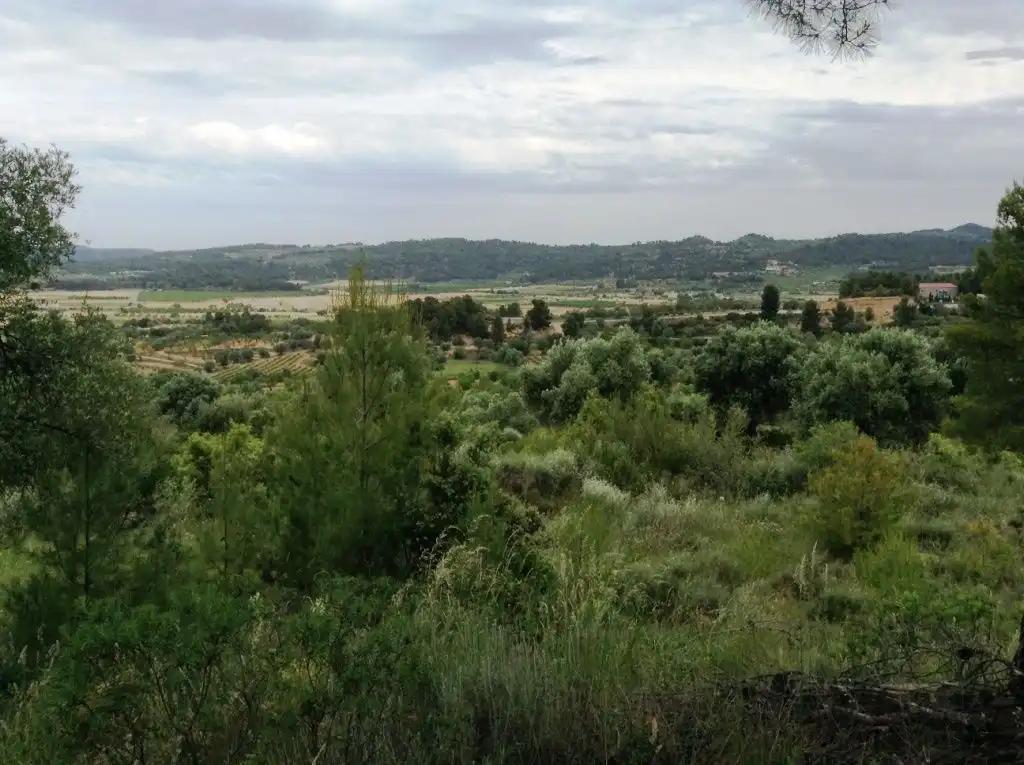 Finca en Venta en Horta de Sant Joan