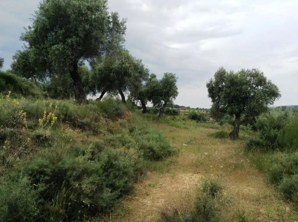 Finca en Venta en Horta de Sant Joan