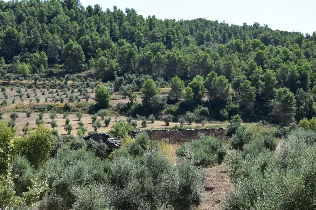 Casa en Venta en Cretas