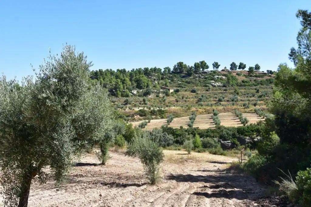 Casa en Venta en Cretas