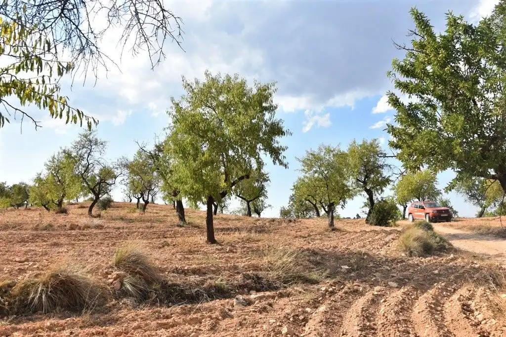 Parcela en Venta en Cretas