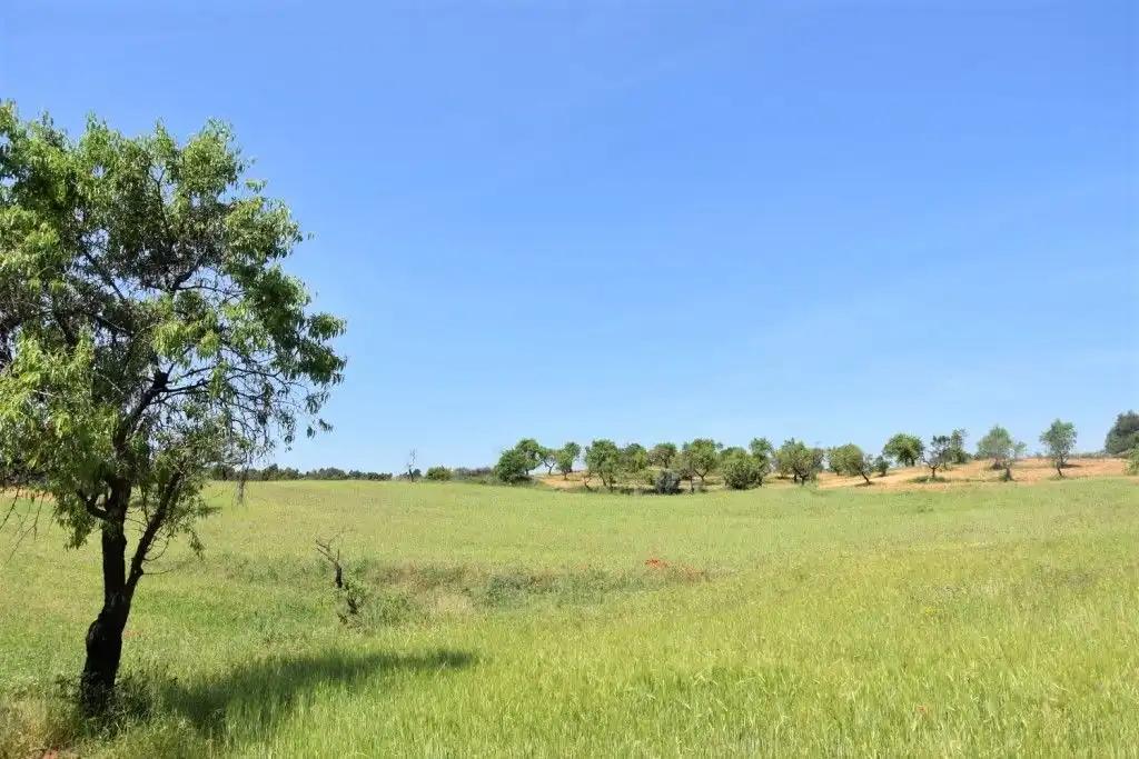 Parcela en Venta en Cretas