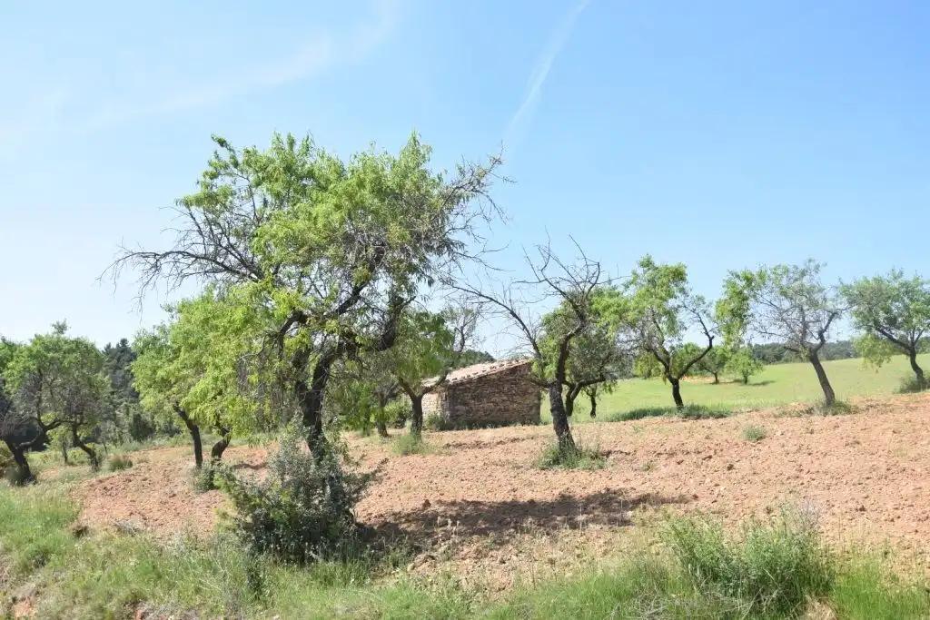 Parcela en Venta en Cretas