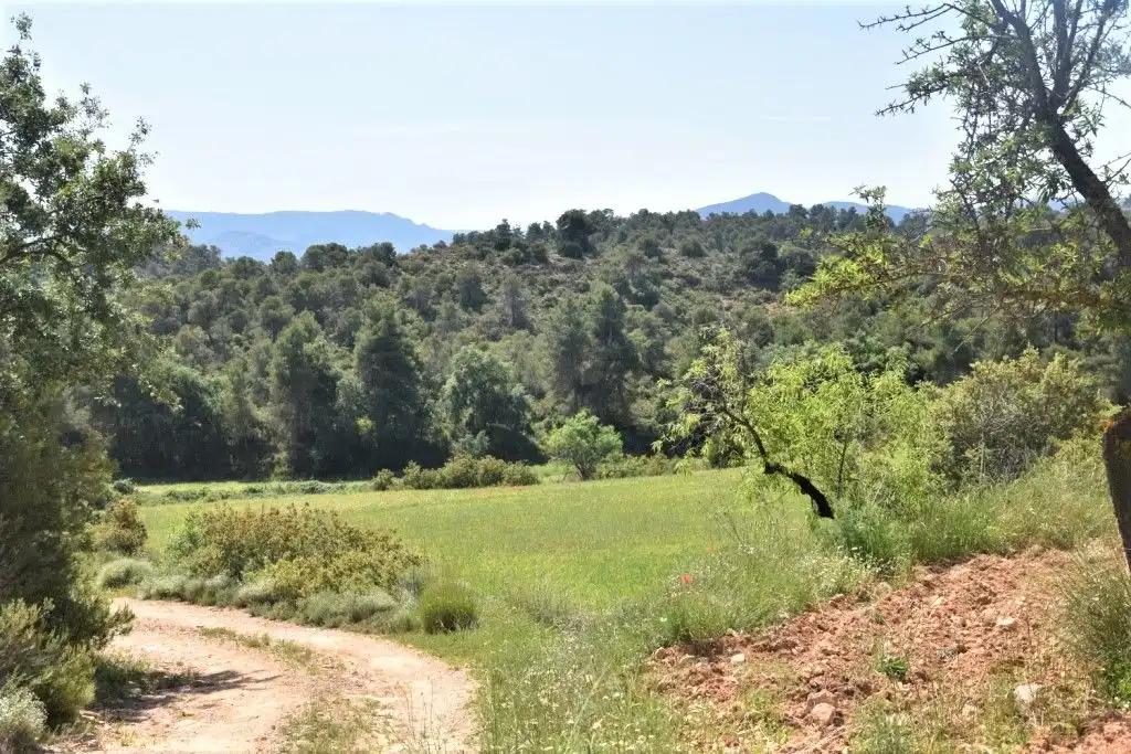 Parcela en Venta en Cretas
