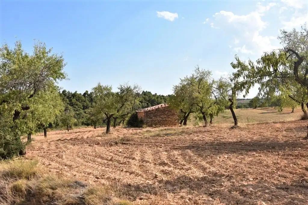 Parcela en Venta en Cretas